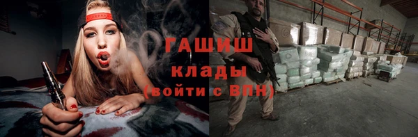 сатива Баксан