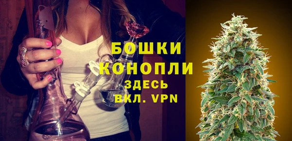 сатива Баксан