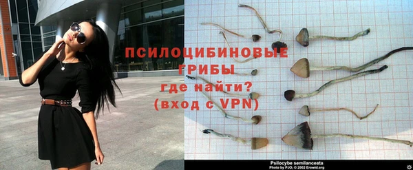 сатива Баксан