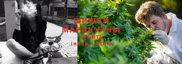 сатива Баксан