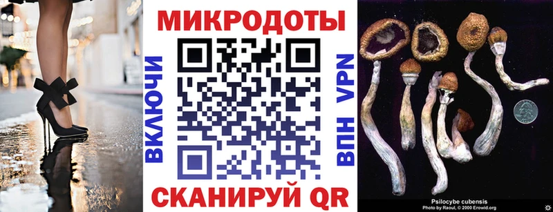 Псилоцибиновые грибы мицелий  хочу наркоту  Тосно 